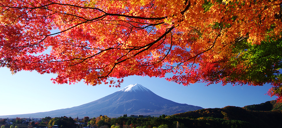 富士山写真集 富士レークホテル 公式サイト