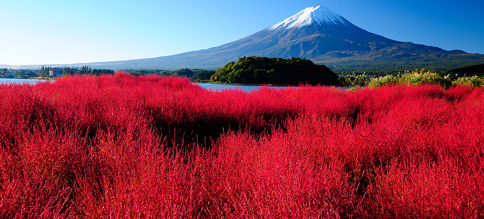 富士山写真集 富士レークホテル 公式サイト